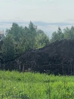 Космическая ты погубила мою сосну
