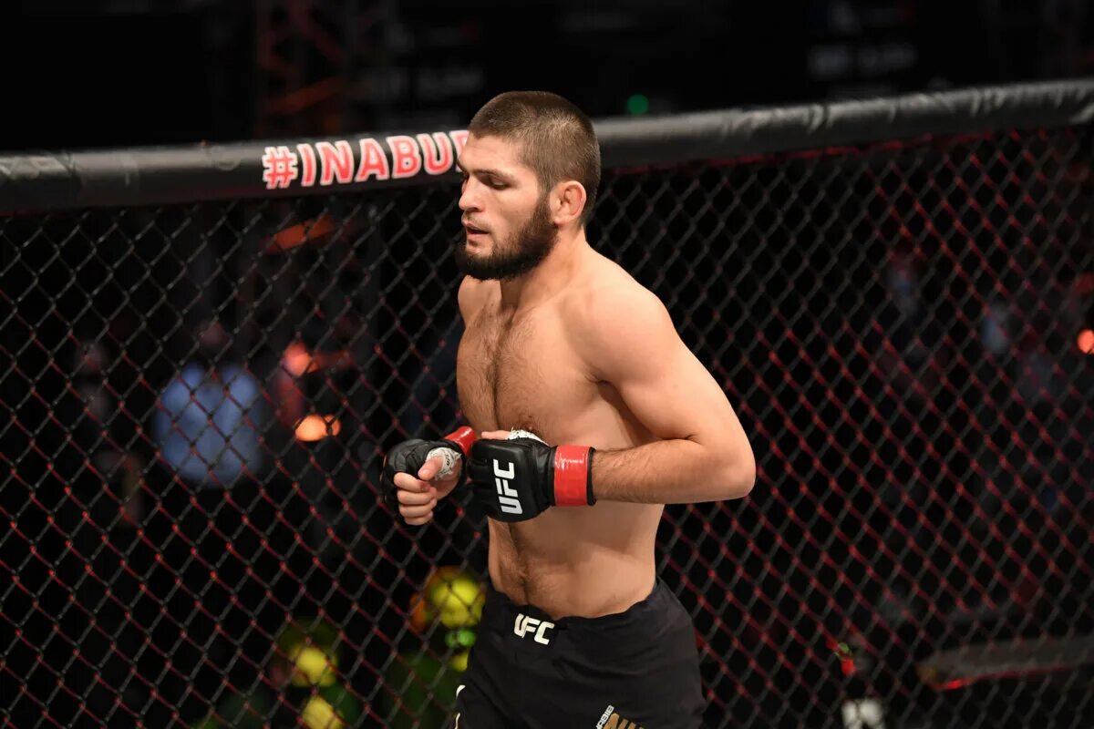 История бойцов ufc. Khabib Nurmagomedov UFC.