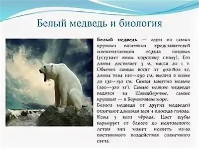 Рабочий лист белый медведь