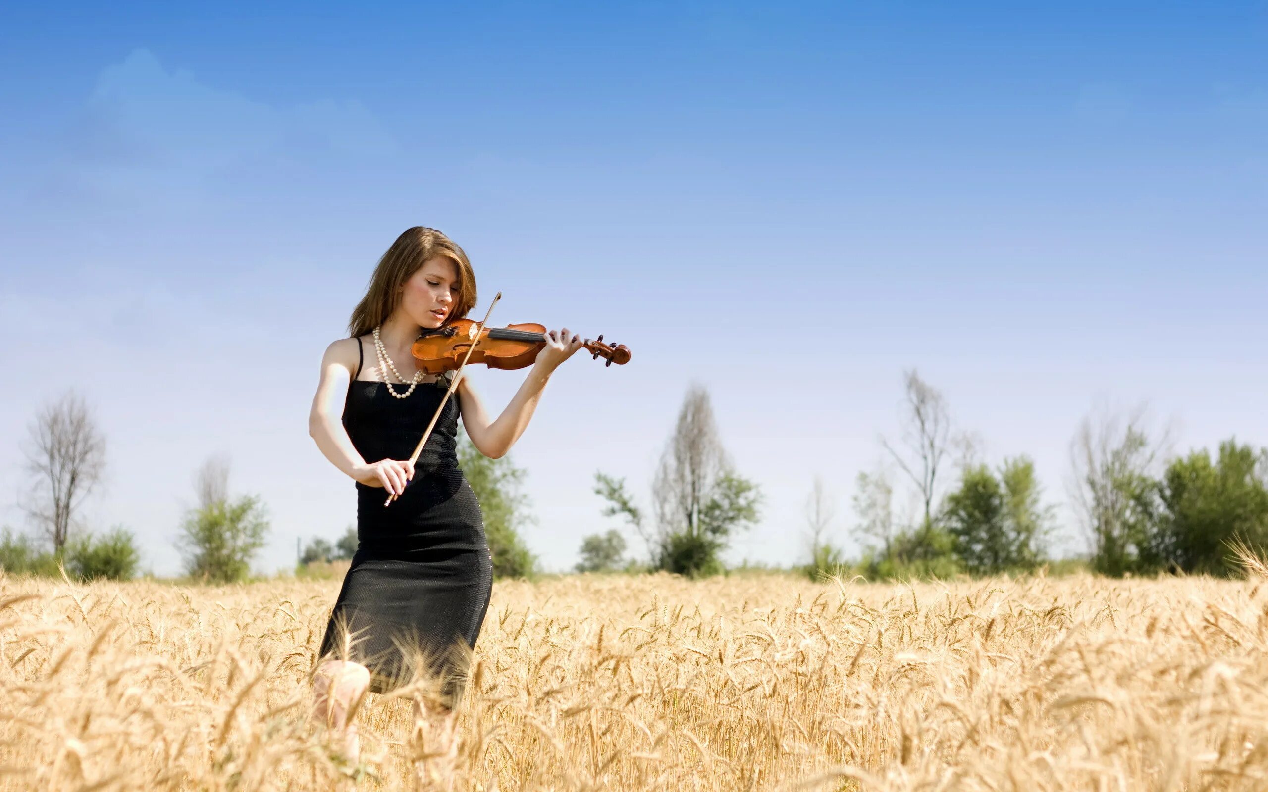 Песня фотосессия. Девушки со скрипкой. Скрипка фото. Талантливая девушка. Девушка со скрипкой в поле.