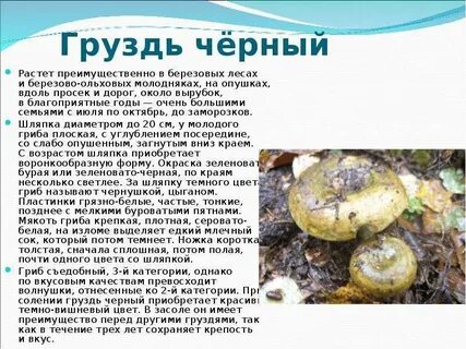 Где растут грузди в каких лесах