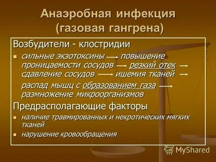 Возбудитель газовой анаэробной инфекции