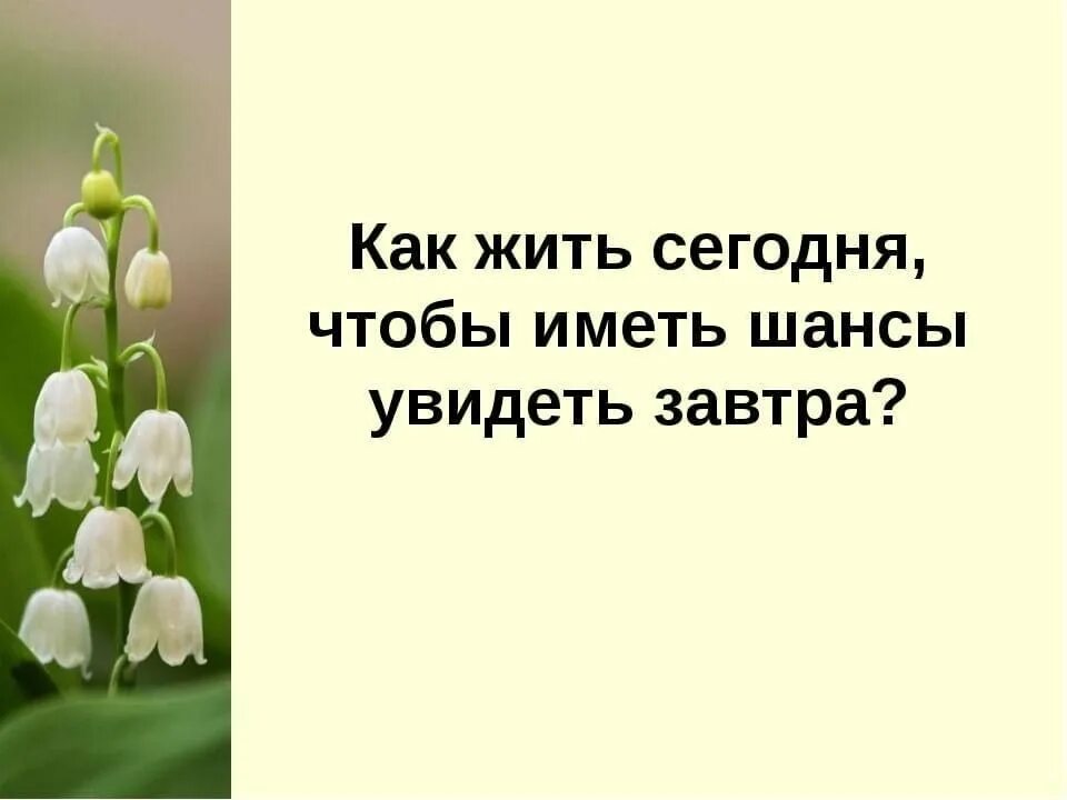 Как живете эту неделю