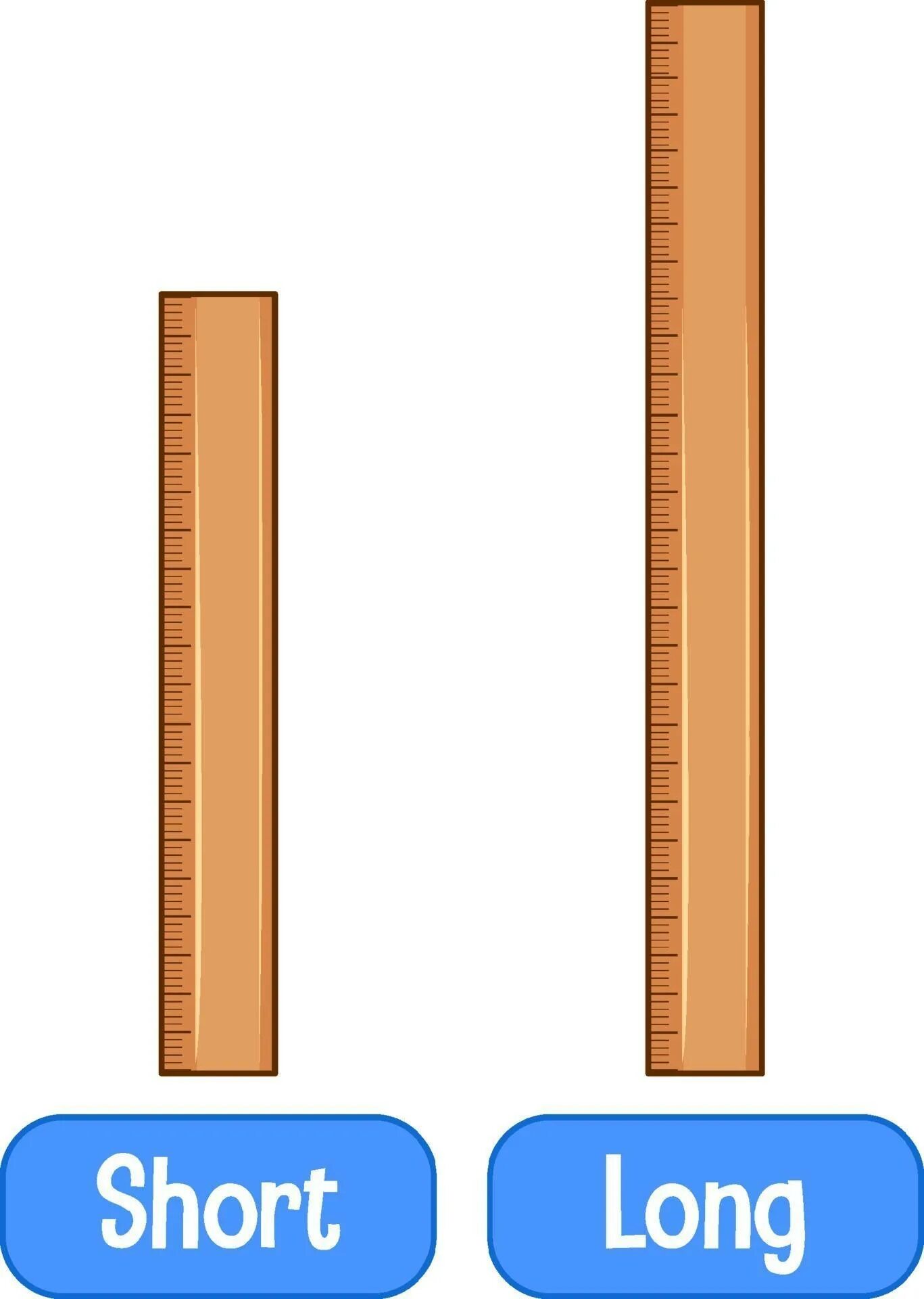 Opposites short. Short Ruler. Long short. Long Ruler. Long and short Ruler.