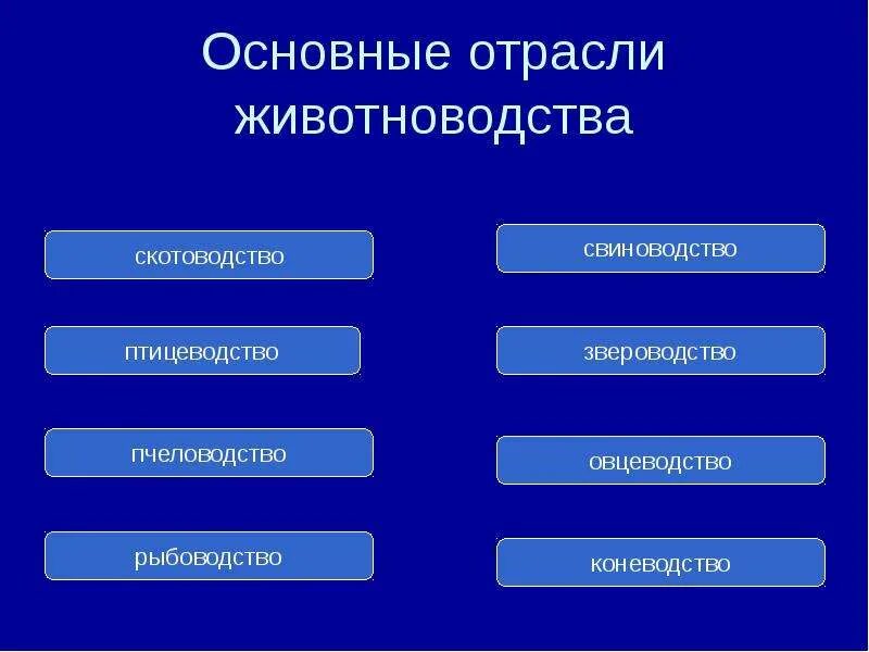 Отрасли животноводства 3 класс окружающий мир таблица. Отрасли животноводства. Основные отрасли животноводства. Перечислите отрасли животноводства. Назовите ведущую отрасль