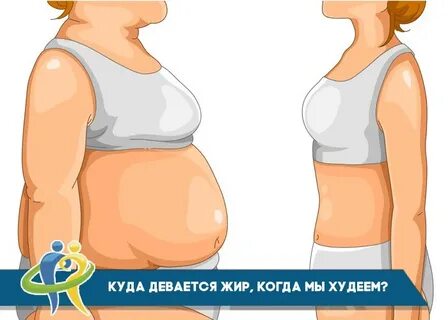 Куда делись тела