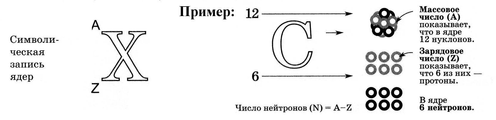 Протоны в ядре. Протоны и нейтроны в ядре. Нейтроны и протоны я Вядре. Массовое число Протона и нейтрона. Напишите обозначение ядра