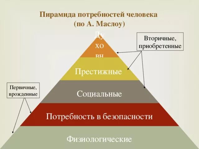 Вторичные потребности человека примеры. Профессионализм. Профессиональные качества судебного пристава. Судебные профессионализмы. Профессионализмы в суде.