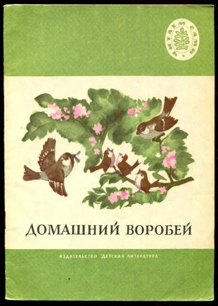 Произведения про воробья. Книга домашний Воробей. Детские книги о воробьях. Книжки о Воробье для детей.