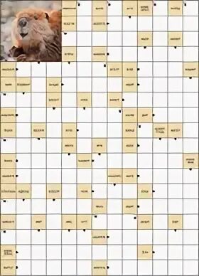 Сканворд 16 на 21. Кейворды для печати. Кроссворды для печати. Сканворды точики. Интересные кроссворды.