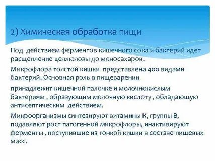 Механическая обработка пищи