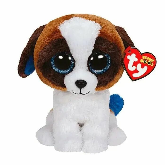 Игрушки Beanie Boo's ty. Ty Beanie Boos Глазастики. Мягкая игрушка ty "щенок" 36125 15см. Хаски Beanie Boo's. Собака toys