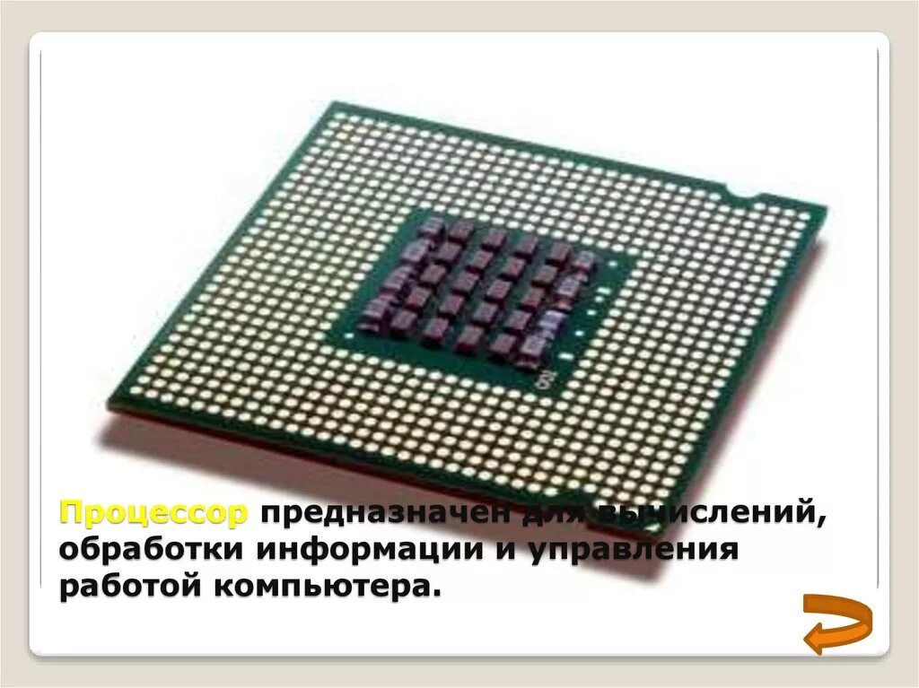 Процессор предназначен для. Процессор предназначен для ответ.