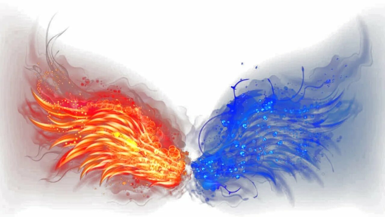 Птица феникс возрождается из пепла. Птица феникс восставшая из пепла. Птицы на черном фоне. Птица феникс. Игра для двоих.