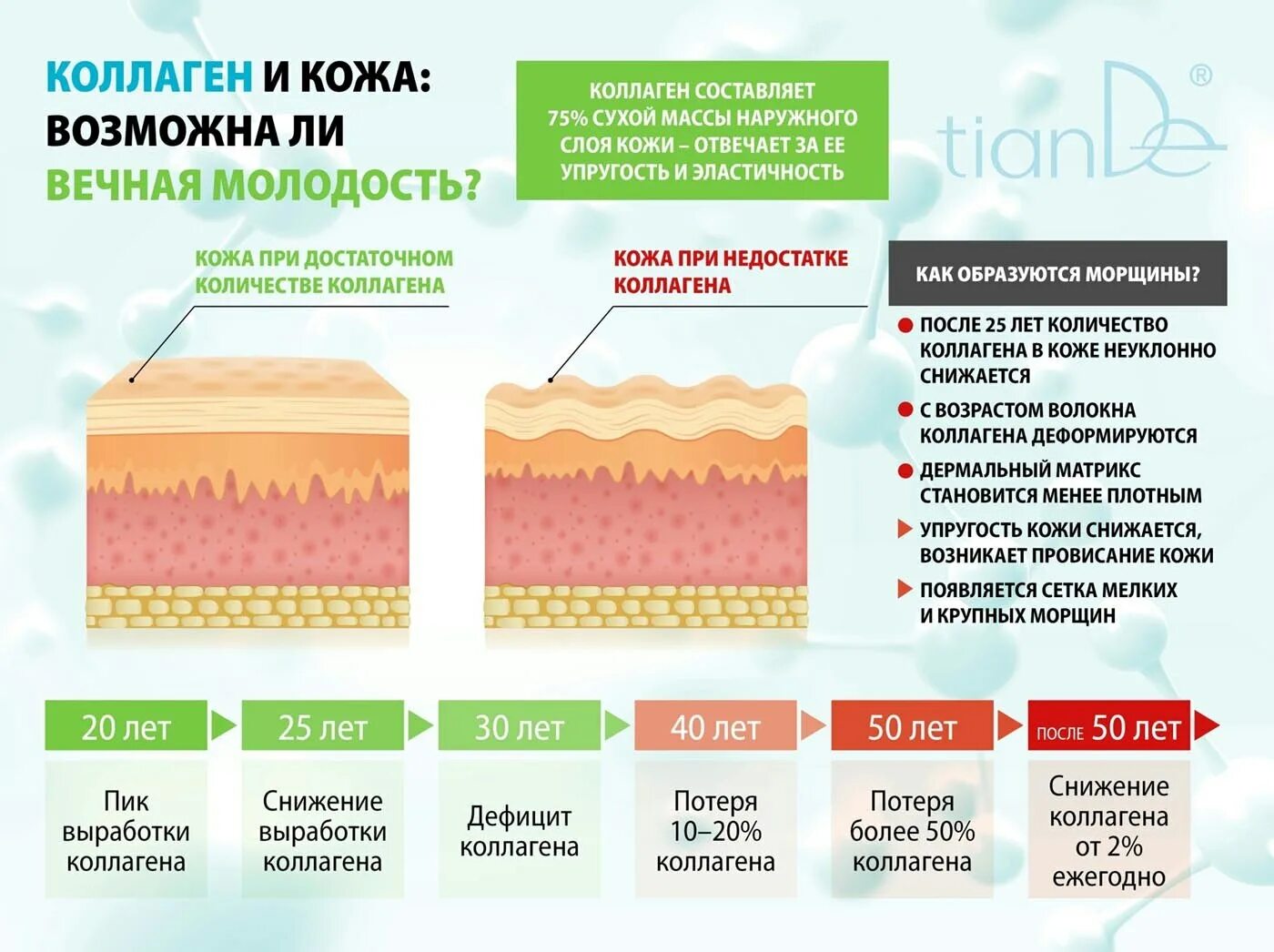 Высокое содержание коллагена. Выработка коллагена в коже. Коллаген для кожи. Влияние коллагена на кожу. Потеря коллагена в коже.