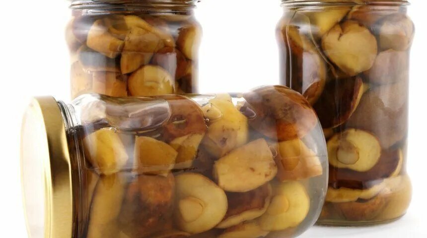 Как мариновать маслята рецепт с уксусом. Маслята маринованные. маслята маринованные на зиму фото.
