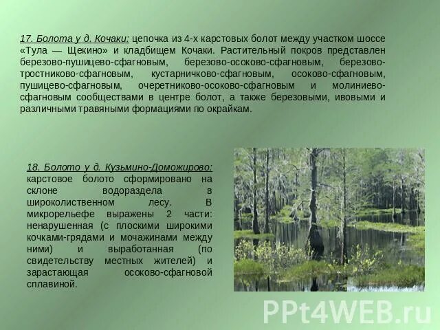 Растительный покров представлен. Болота Тульской области. Верховые болота Тульской области. Болота Тульской области названия. Заболоченность Тульской области.