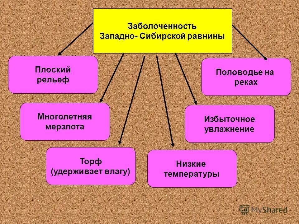 Причина сильной заболоченности. Причины заболоченности Западной Сибири схема. Заболоченность Западно-сибирской равнины. Причины заболоченности Западно-сибирской равнины. Схема причины заболоченности Западно сибирской равнины.