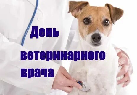 День ветеринарного врача в беларуси