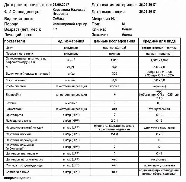 Анализ мочи уробилиноген норма у женщин. Общий анализ мочи уробилиноген норма. Уробилиноген в моче у женщин норма норма. Уробилиноген в моче норма у детей 3 лет.