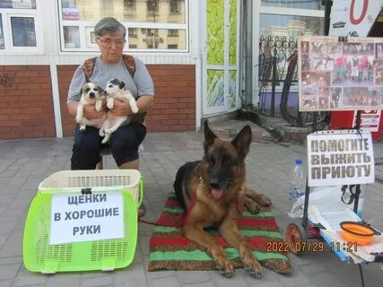Приюти меня