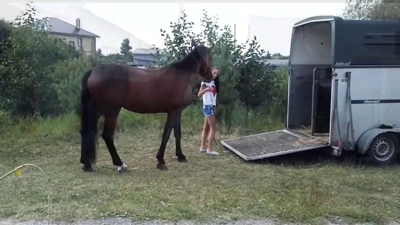 Он коней повел шажком в каком городе