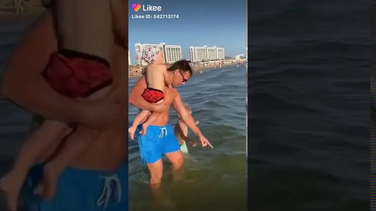 Черепашка по имени какашка. Морская черепашка а нет эта какашка. морская черепаха по имени какашка. морская черепашка наташка.