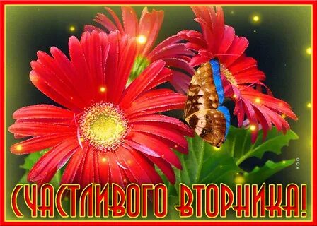 Картинка вторник анимация