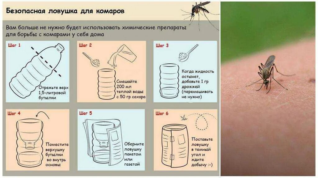 Как избавиться от комаров на дачном участке. Как избавиться от комарей. Как избавиться от комаров. Ловушки для комаров на дачных участках. ЛОВУШКА от комаров в домашних условиях.