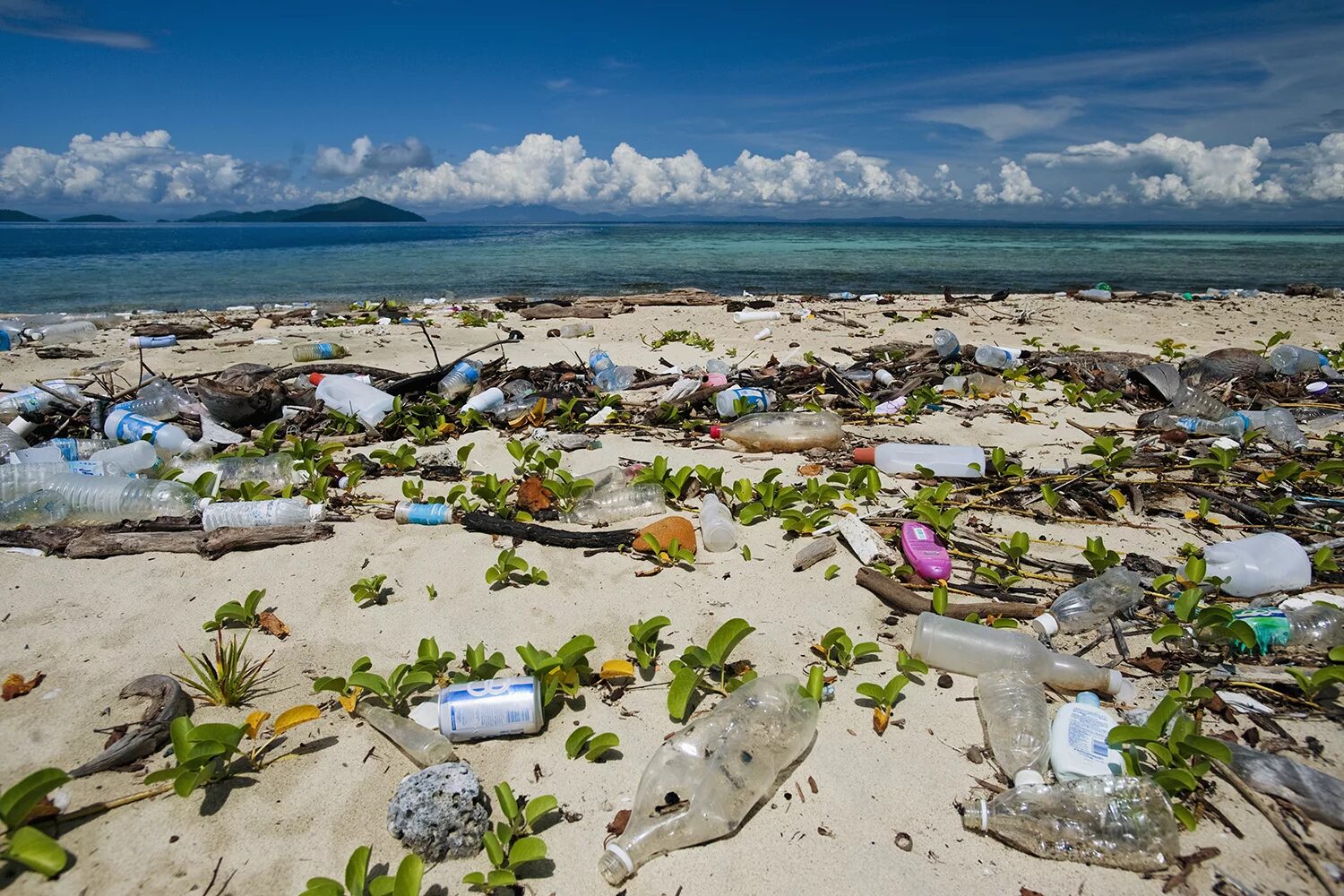 Beach clean. Остров Хендерсон мусор. Пляж Камило Гавайи. Остров Хендерсон самый загрязненный. Хендерсон остров самый грязный.