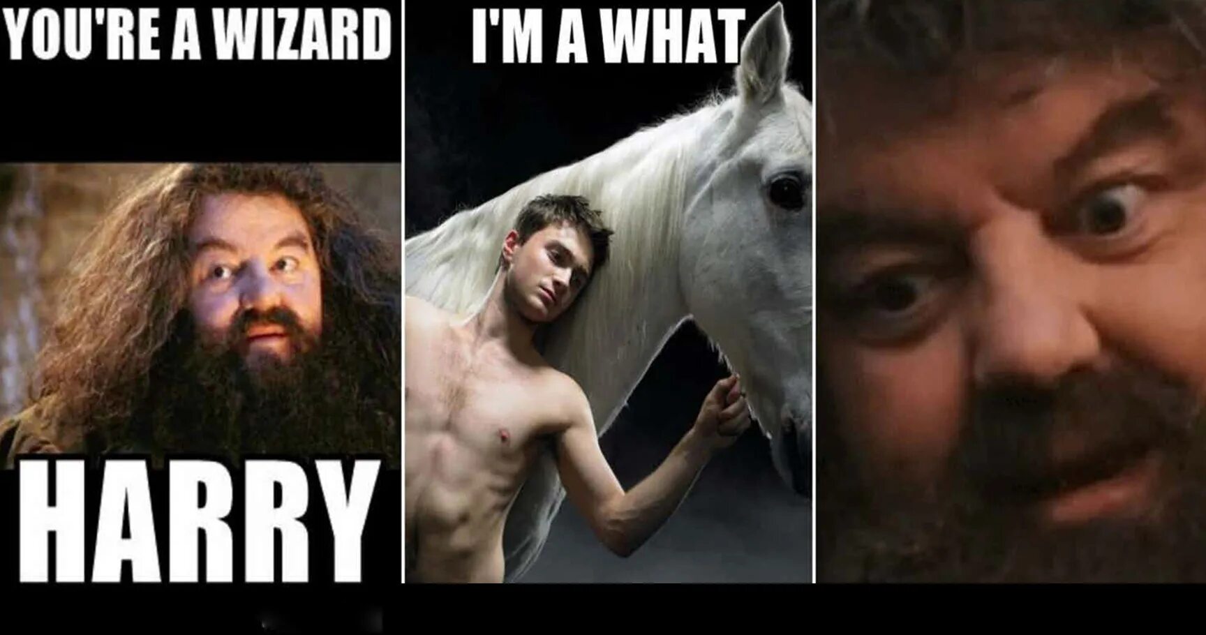 Фремиона. If i ignore it maybe it will go away оригинал. Как выглядит гарри поттер в 30 лет. If i will see see harry. If i will see see harry.