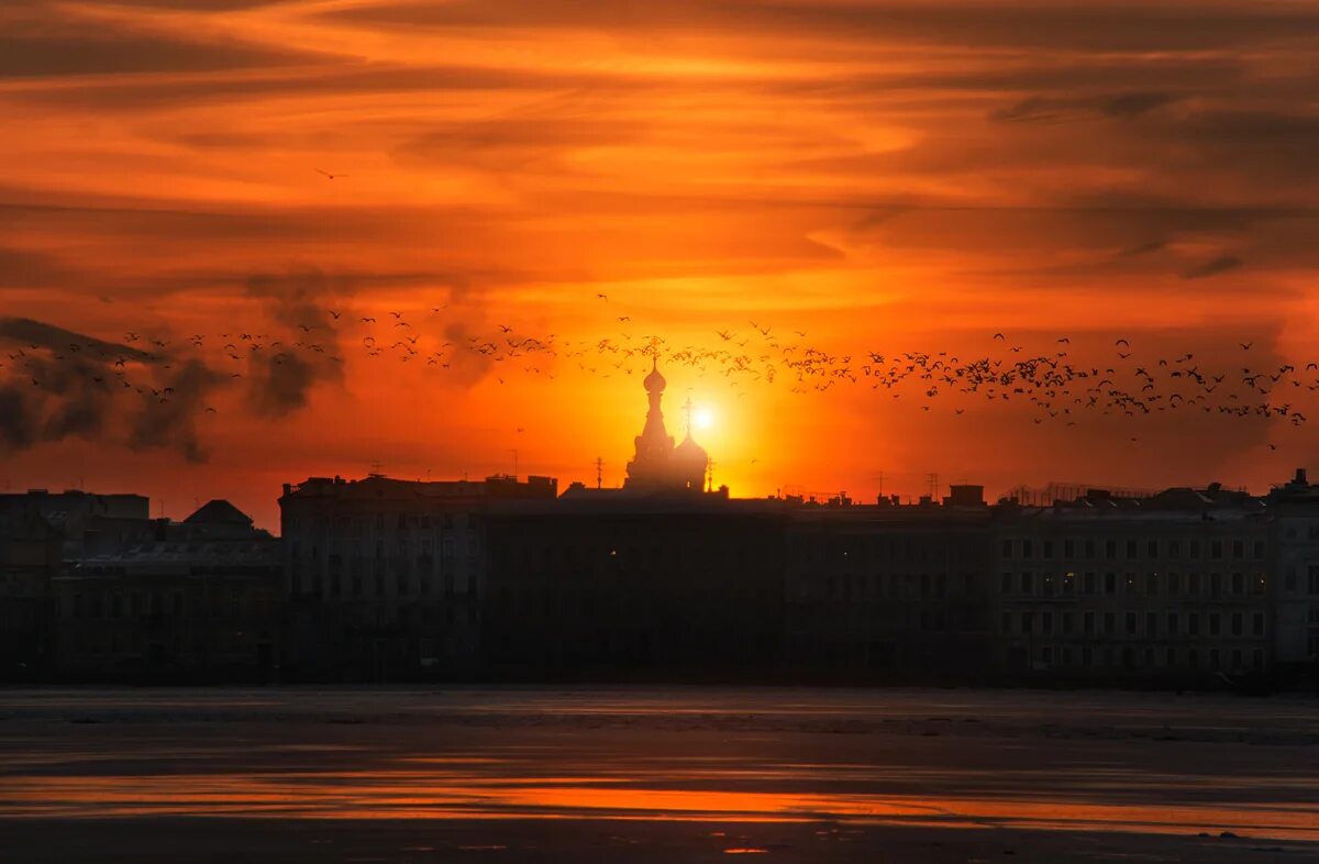 Санкт-Петербург Восход. Рассвет в городе. Закат в Питере. Красивый закат в городе.