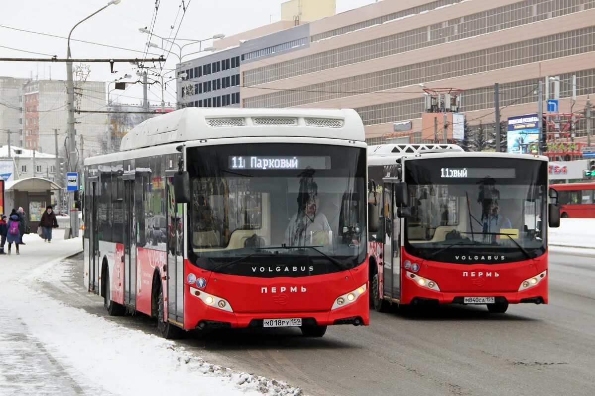 Автобуса 65 пермь на сегодня. Пермский общественный транспорт Перми. МКУ ГОРТРАНС Пермь. ГОРТРАНС Пермь трамвай. Волгабас электробус Пермь.