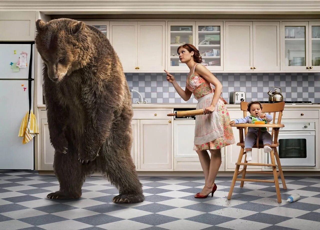 Рекламные сюжеты. Креативная реклама с медведем. Смешная креативная реклама. Креативный медведь. Медведь и женщина.