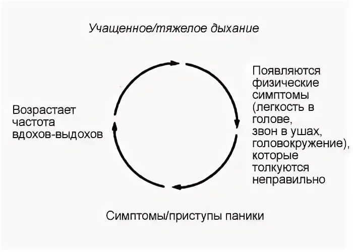 Паническая атака схема. Цикл паники. Круг панической атаки. Порочный круг паники. Порочный круг панической атаки.