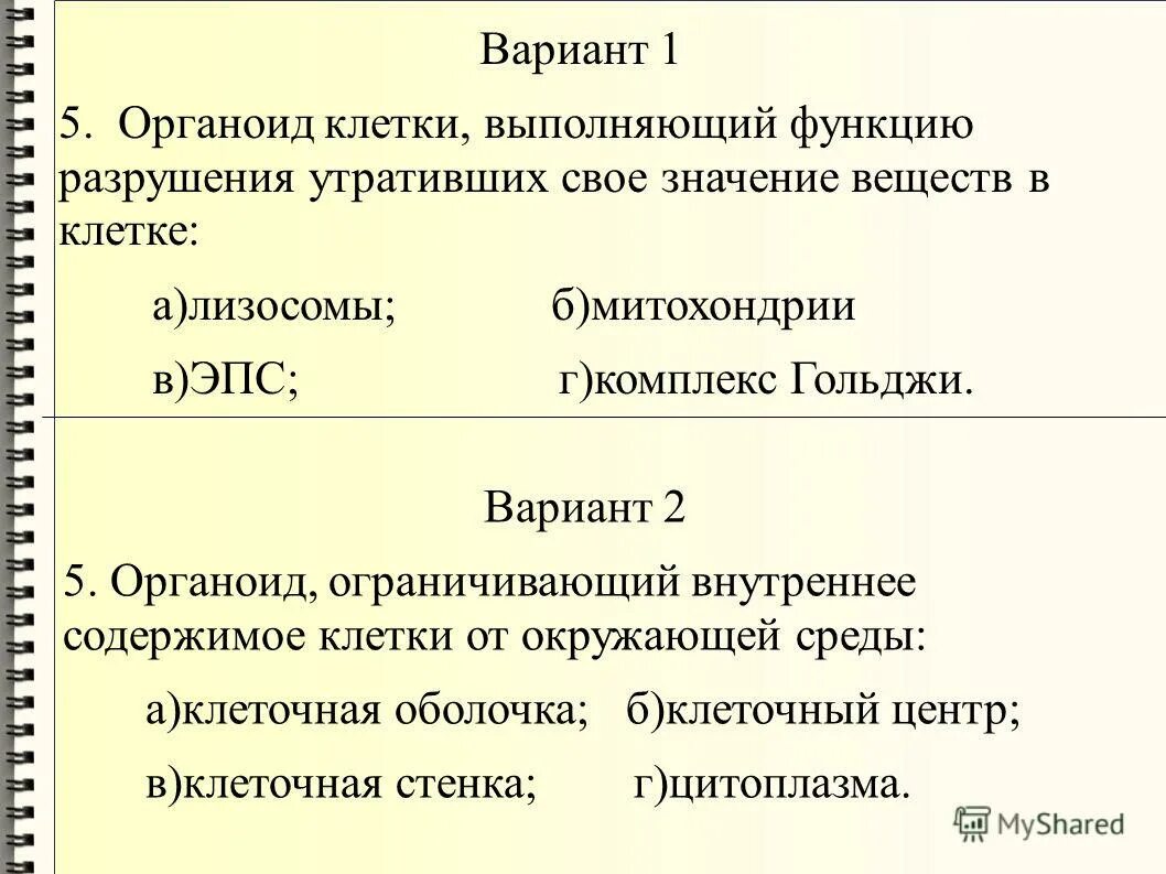 Тест на человек личность обществознание. Тест человек 11 класс. Собственно кожа образована тканью тест ответы. Тест человек 11 класс. Контрольная работа личность и общество.