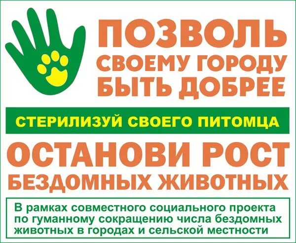 средний рост человека. остановился расти. упражнения чтобы вырасти в росте. правонарушения среди несовершеннолетних. остановился расти.