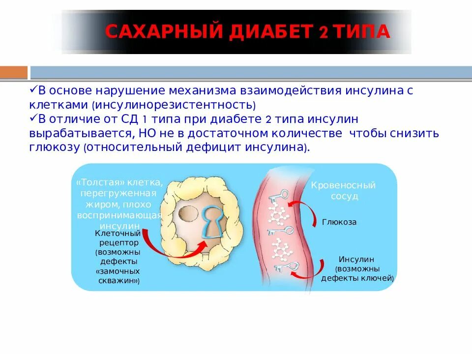 Сахарный диабет стадии. Сахарный диабет. Инсулинорезистентность и сахарный диабет. Инсулинорезистентность при сахарном диабете 1 типа. Сахарный диабет 2 типа презентация.