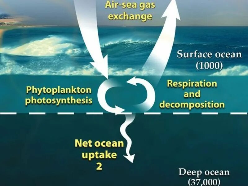 1000 oceans. Самое горячее океан. десятилетие наук об океане. океаны 1000 фактов 100 фотографий. rnp 10 над океаном.