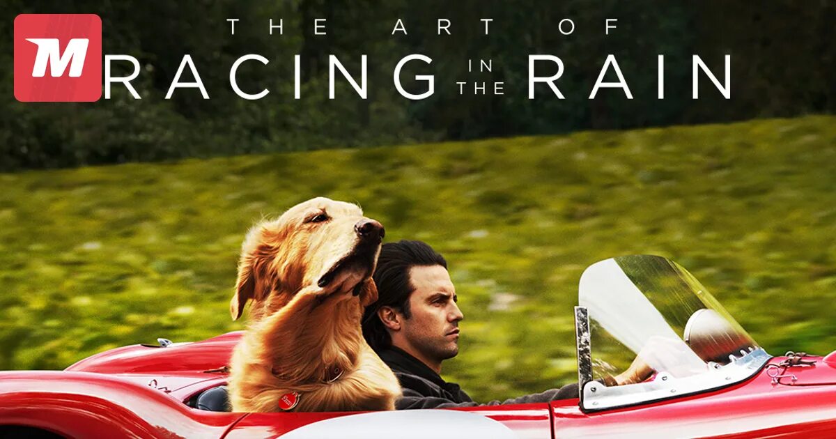 невероятный мир глазами энцо (2019). невероятный мир глазами энзо. невероятный мир отзывы. невероятный мир отзывы. невероятная жизнь глазами энцо.