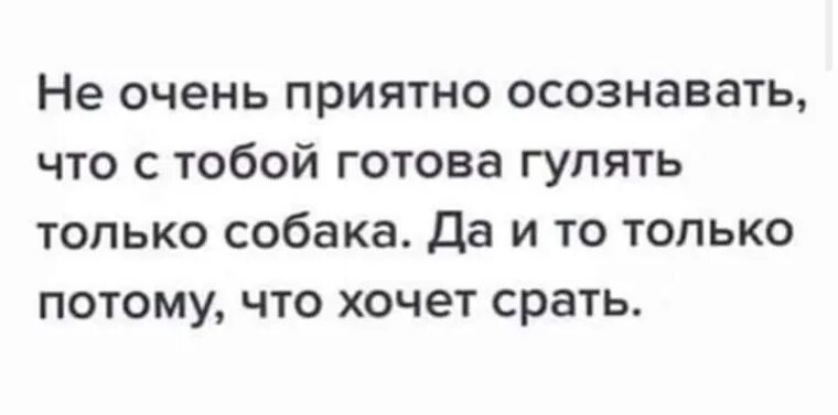 Очень неприятно осознавать что с тобой готова гулять только собака. Таня юмор. Готов гулять