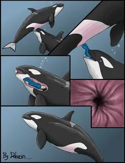 Slideshow whale rule 34.