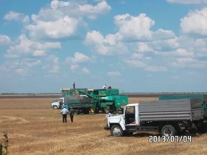 Погода верхнекардаильский волгоградская область