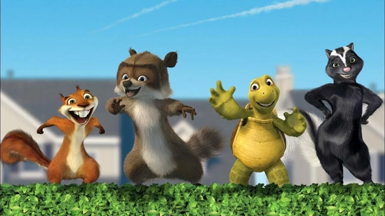 Черепаха белка. Черепаха белка