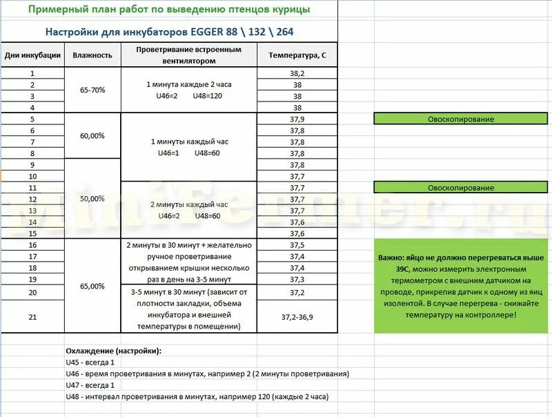 Сколько градусов инкубаторе. Таблица вывода цыплят в инкубаторе блиц 48. Инкубатор таблица вывода цыплят в инкубаторе. Режим инкубации цыплят бройлеров таблица. Таблица вывода цыплят в инкубаторе норма лупер.