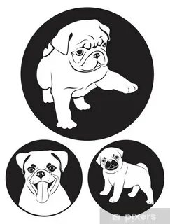 Sticker. pug-dog. 