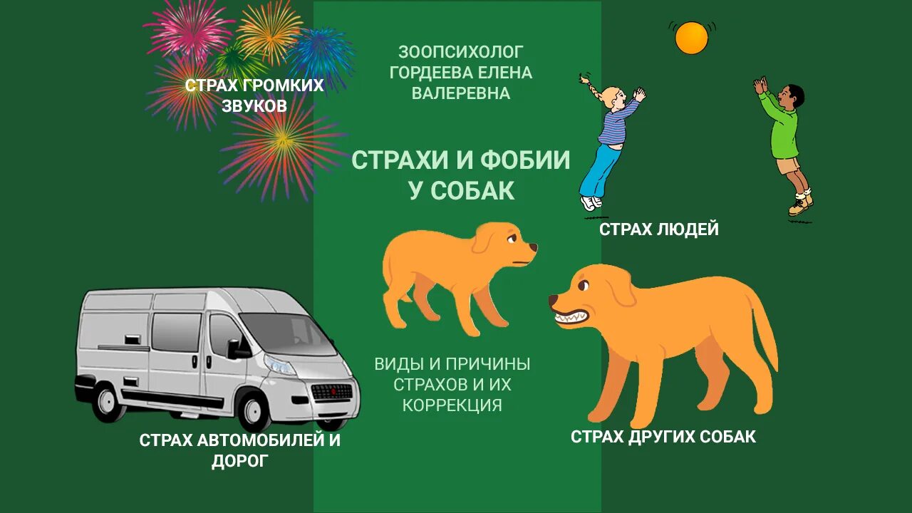 Как называется боязнь собак. Гордеева и собака.