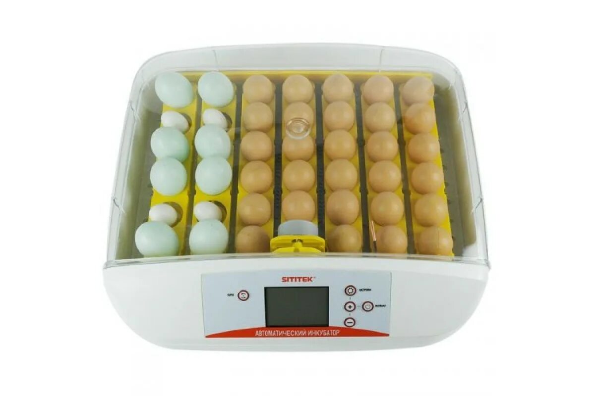 Инкубаторы для яиц автоматические купить на озоне. Инкубатор SITITEK 12. Инкубатор автоматический "SITITEK 128". Инкубатор автоматический "SITITEK 9". SITITEK 64 инкубатор.