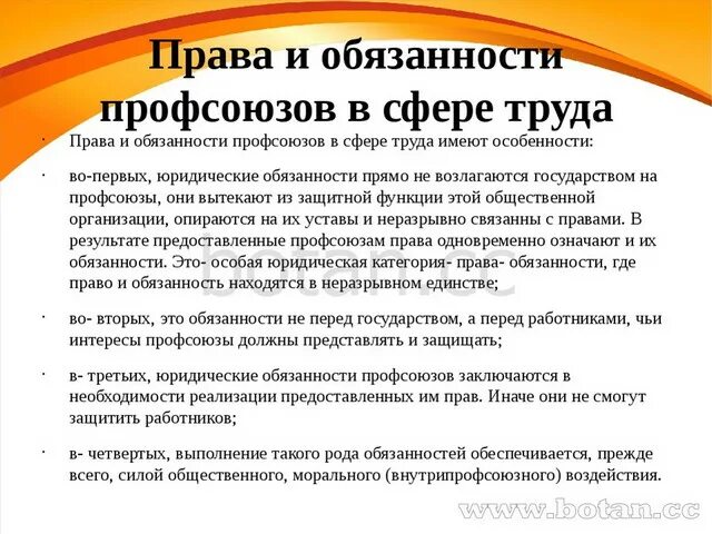 Профсоюзы тк рф. Обязанности профсоюзной организации. Правовая основа профсоюзов обязанности профсоюзов.