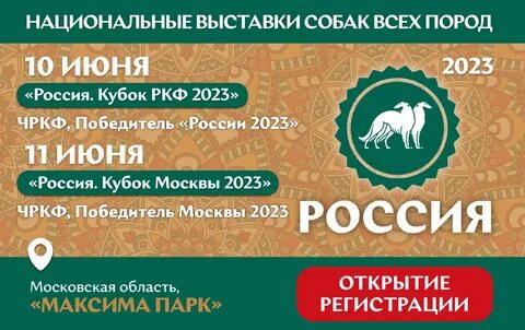 Выставка собак 2023